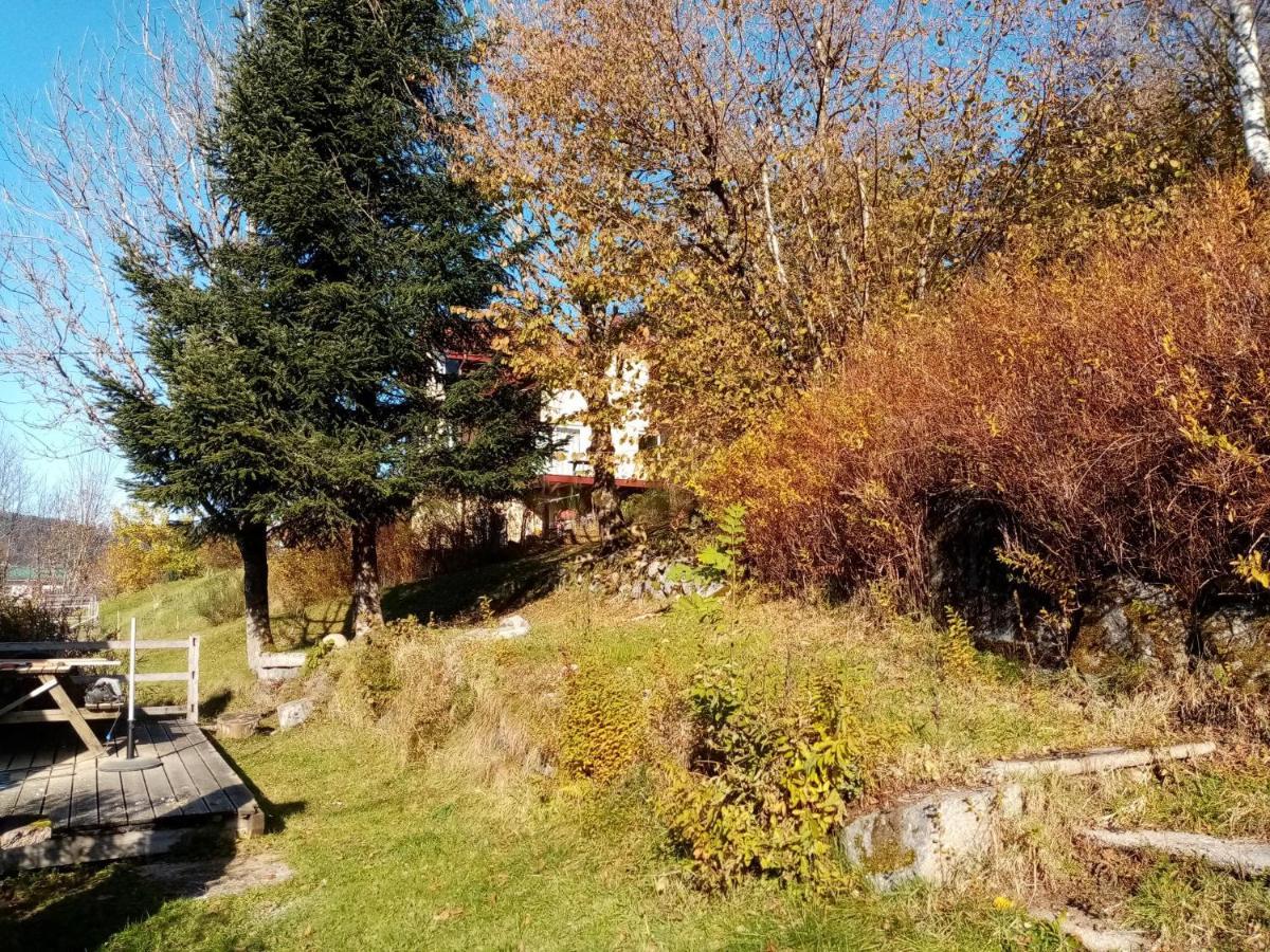 Au grenier du lac Gérardmer Extérieur photo