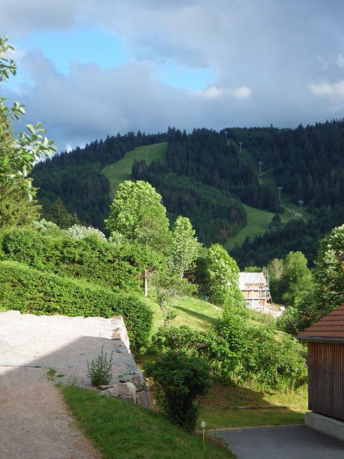 Au grenier du lac Gérardmer Extérieur photo
