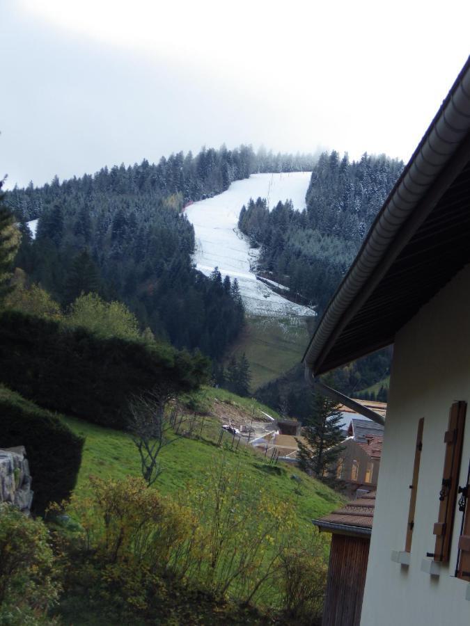 Au grenier du lac Gérardmer Extérieur photo