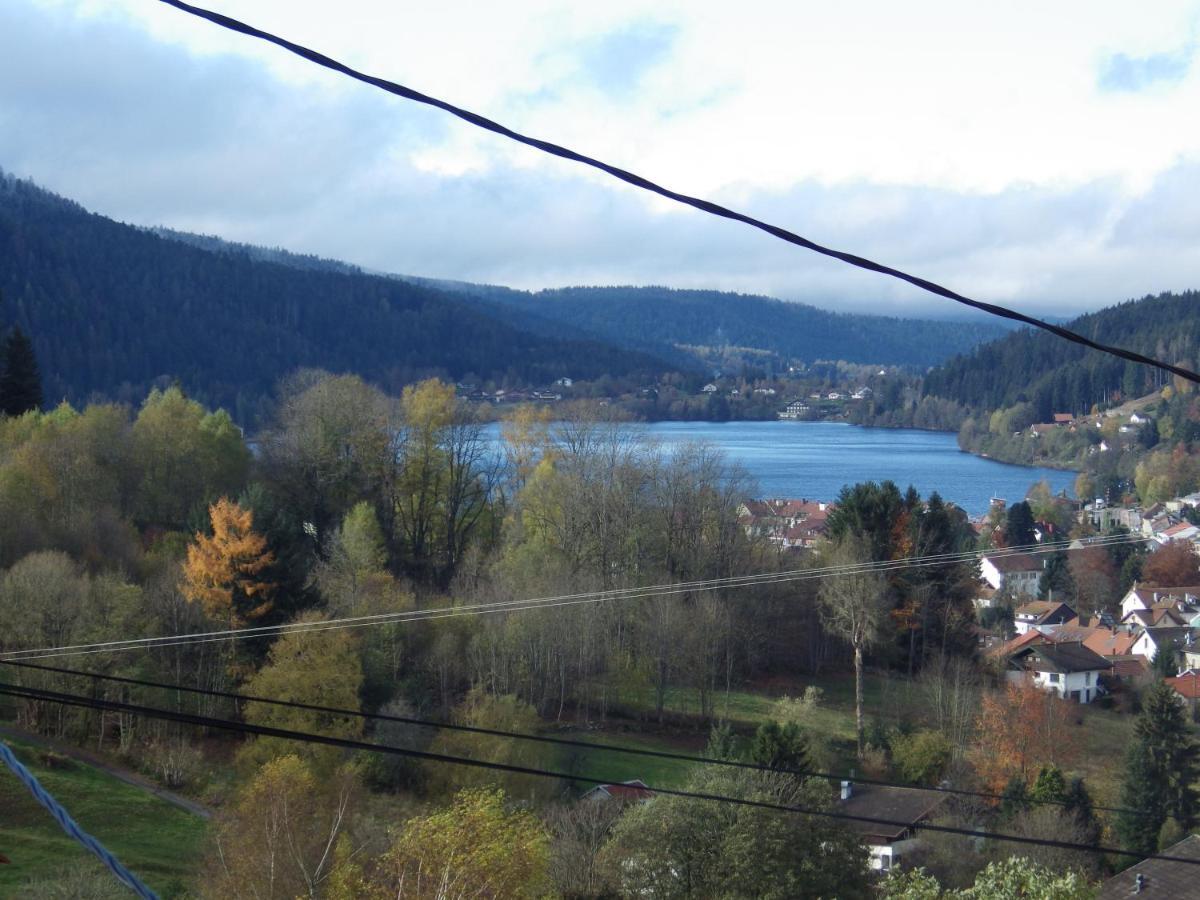 Au grenier du lac Gérardmer Extérieur photo
